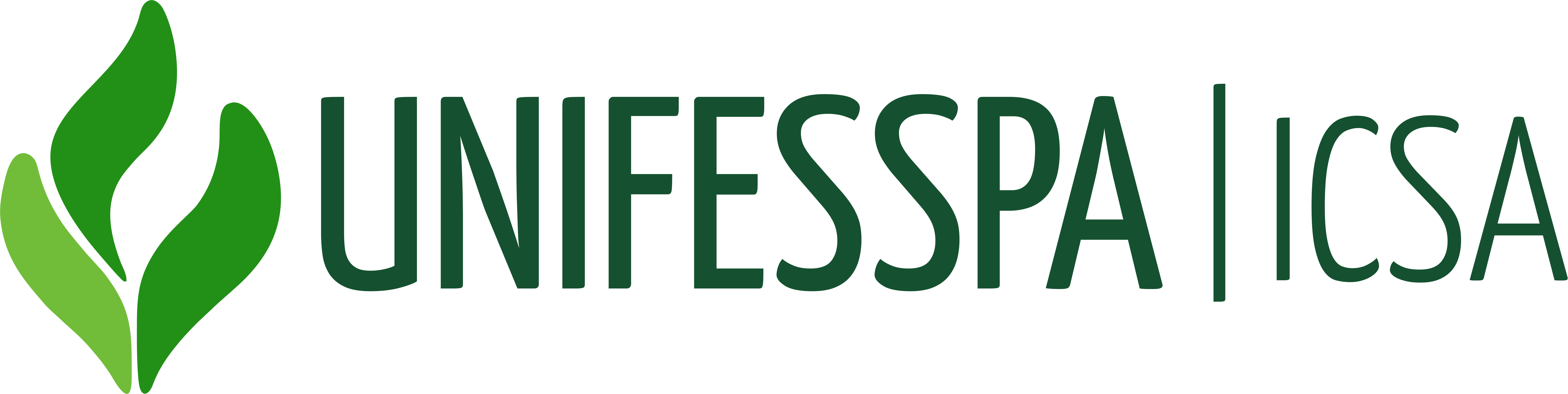 logo ICSA